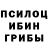 Галлюциногенные грибы Magic Shrooms puma zz
