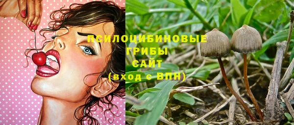 стаф Белокуриха