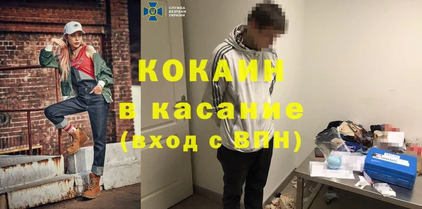 стаф Белокуриха