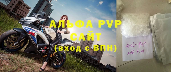 стаф Белокуриха