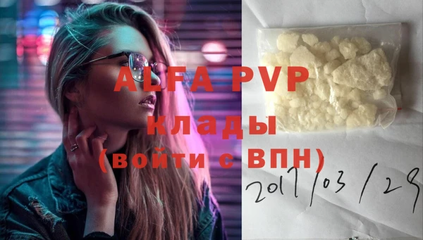 стаф Белокуриха