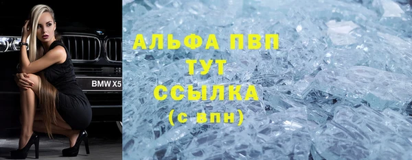 стаф Белокуриха