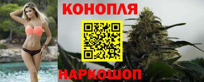 гидропоника Канаш
