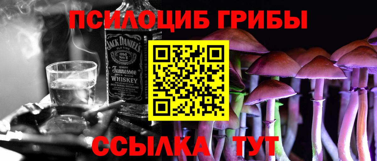 Псилоцибиновые грибы Psilocybe  Вход с VPN  Минеральные Воды  Галлюциногенные грибы GOLDEN TEACHER 